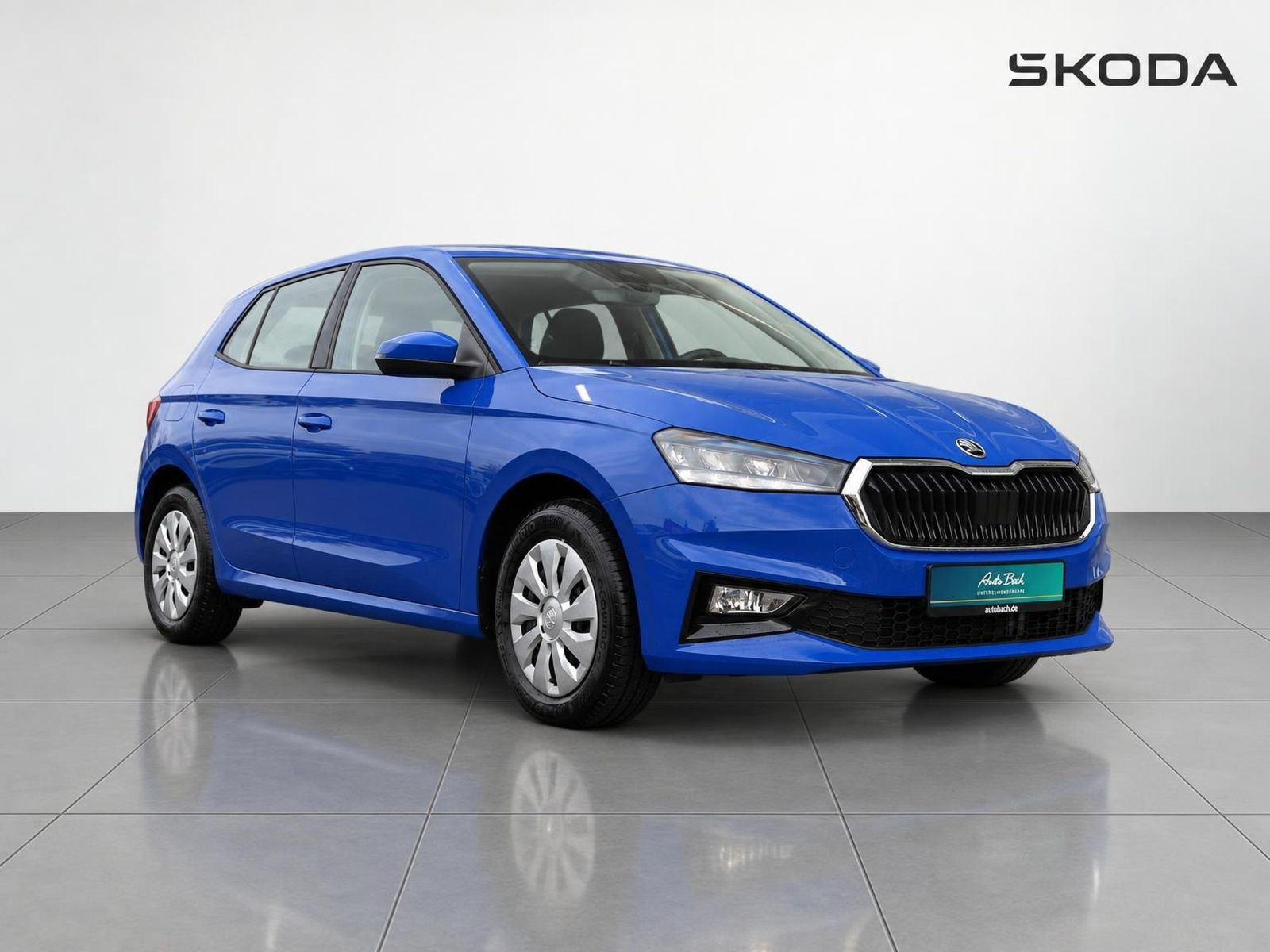 Skoda Fabia Selection 1.0TSI LED GRA EPH