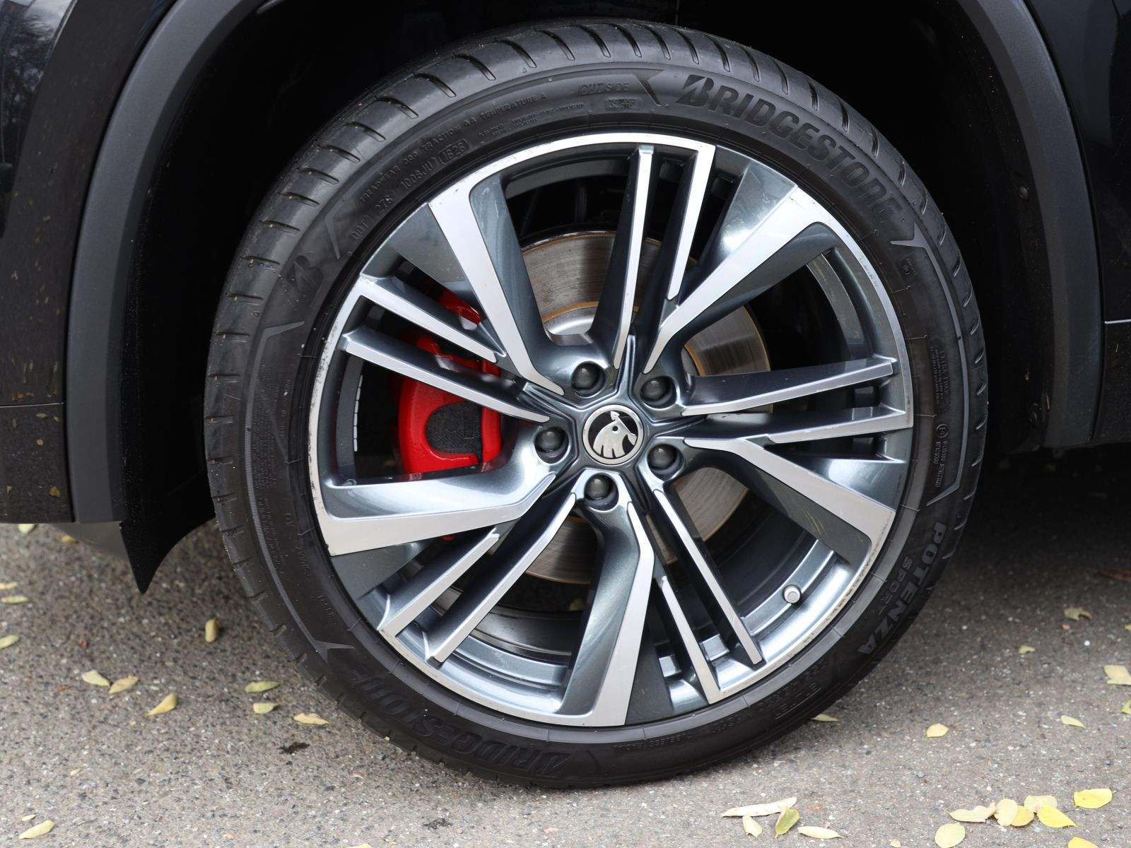 Skoda Kodiaq RS 2,0 TSI DSG 4x4 GRA Sitzhzg LED AHK