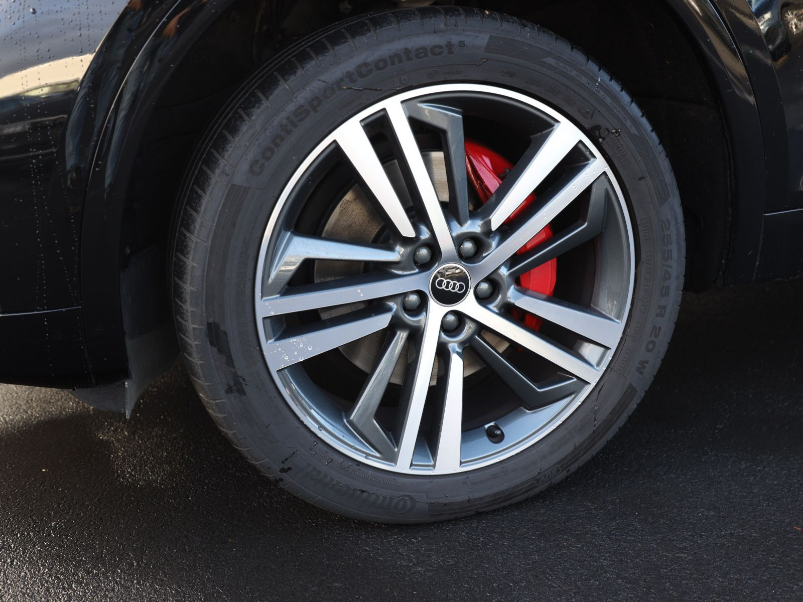 Audi Q5 S line 50TDI qu Navi Matrix Panorama AHK