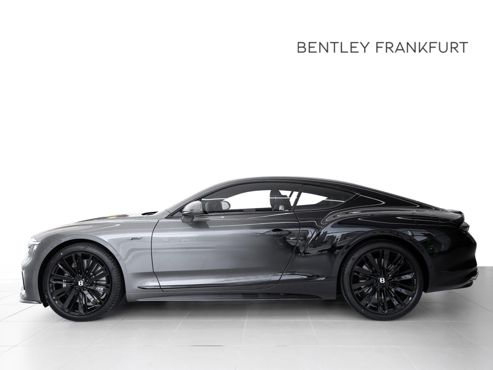 Bentley Continental GT Speed OMBRE PAINT / FIRST CAR IN EU
