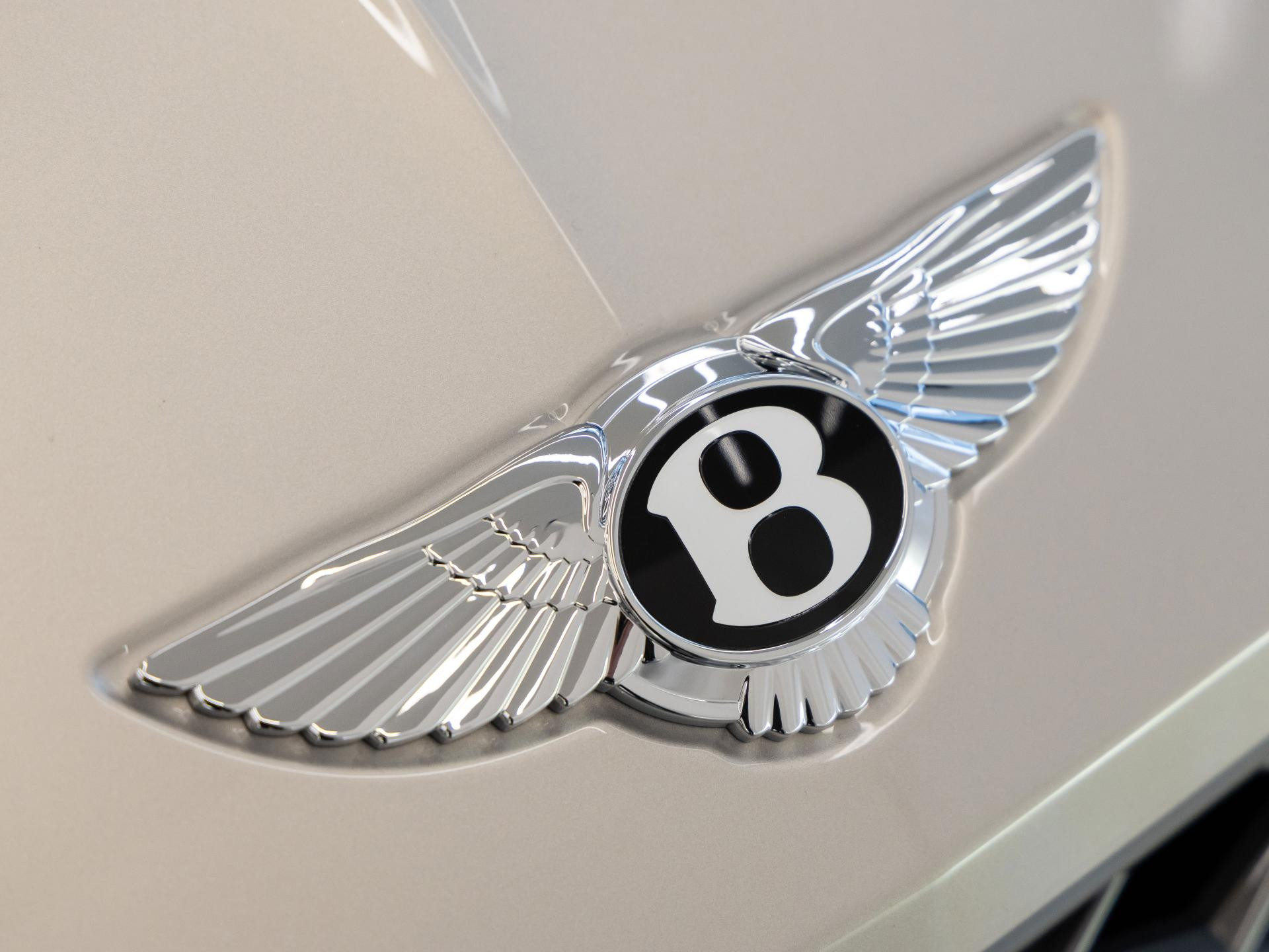 Bentley Continental GT Speed ELEGANT /  BENTLEY FRANKFURT