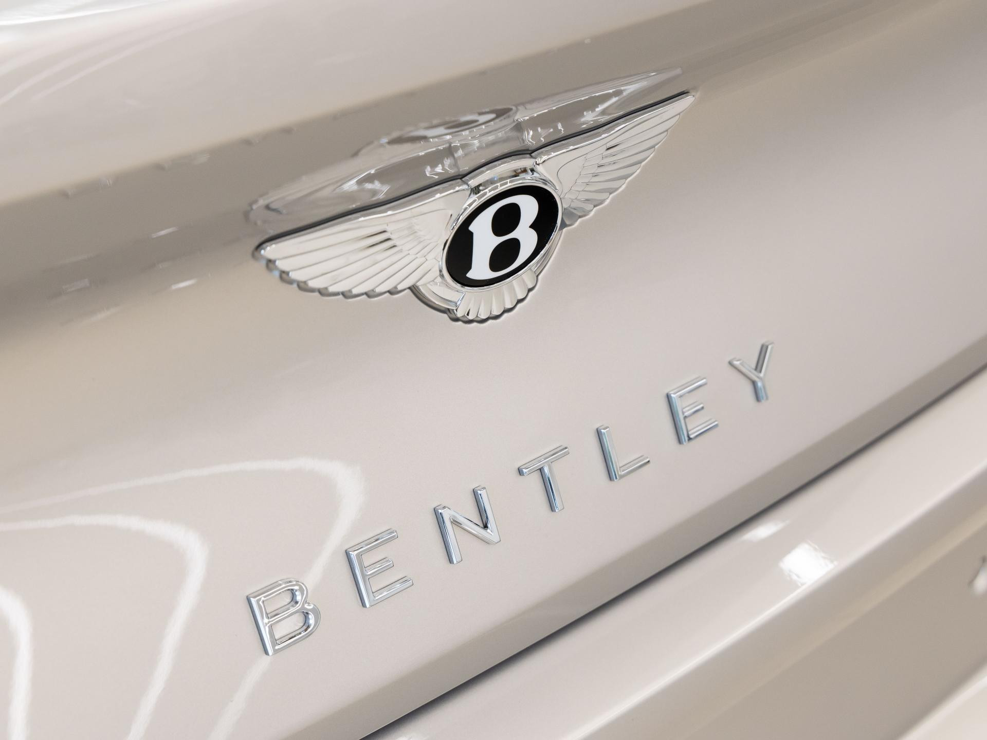 Bentley Continental GT Speed ELEGANT /  BENTLEY FRANKFURT